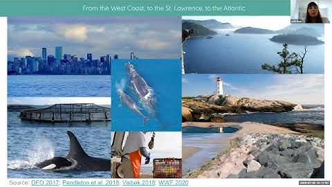 Portage Webinar: The Canadian Integrated Ocean Observing System (CIOOS)