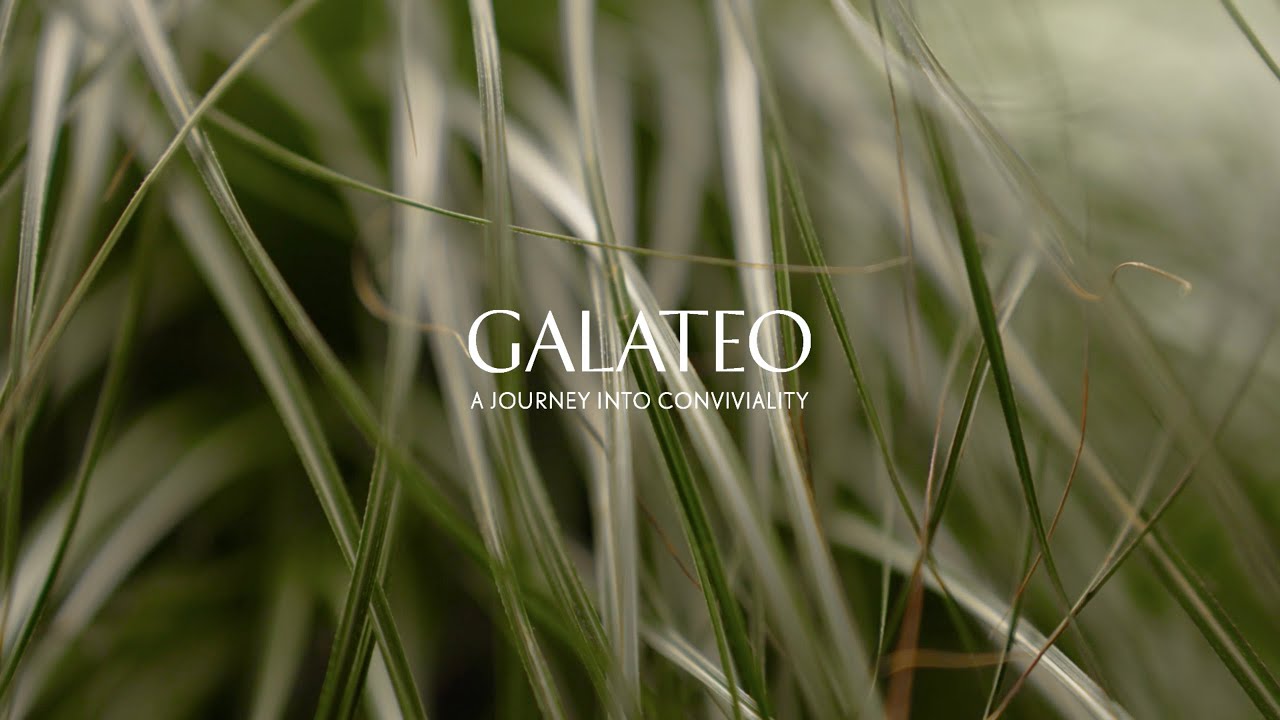 Buccellati Galateo: Tahiti X Patricia Urquiola