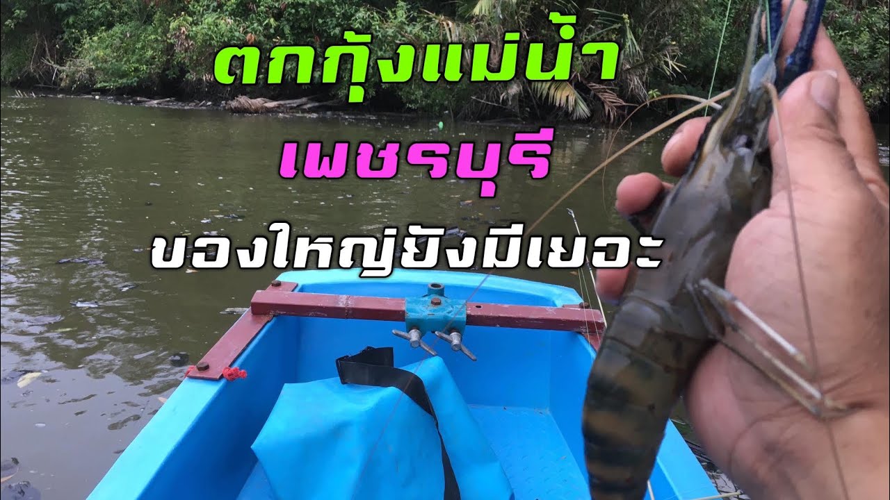 ตกกุ้งแม่น้ำ เพชรบุรี กินรัวๆ