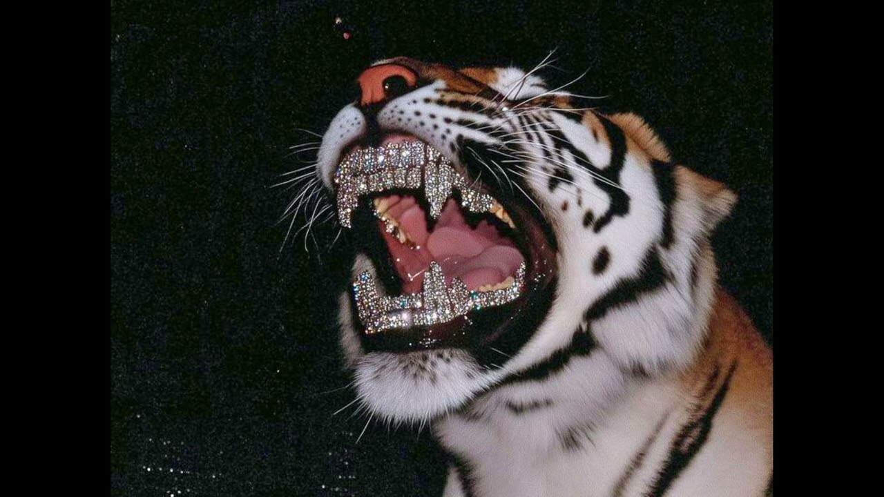 [FREE / フリートラック] Drill Type Beat 「TIGER」 | Jersey Drill Dark type Beat Prod.HANEDA