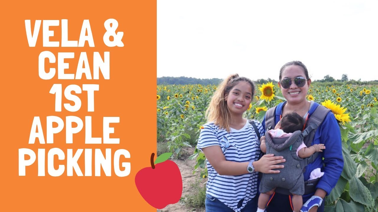 Where can we go for Apple Picking Carl Laidlaw Orchards in Brampton