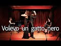 【Tango】Volevo un gatto nero ~黒ネコのタンゴ~