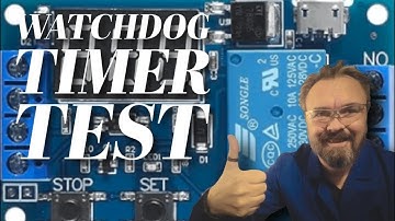 Watchdog Timer Test on the 35238-MP Multifunction Timer Module