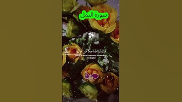 تلاوة رائعة لسورة النمل #اكسبلور #duet #لايك
