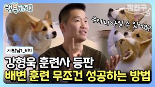 [#행복하개] 강형욱 훈련사 등장⭐ 강아지 배변 교육 따라해보세요! 대중소의 배변 훈련 | 개밥 주는 남자 시즌1 6 회