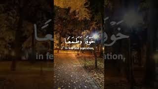 سورة السجدة أحمد النفيس