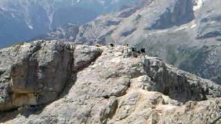 Picco Di Vallandro M 2839 S.l.m. - Dolomiti Di Braies Alto Adige