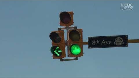 Green means go! Doghouse signal causes confusion for some Regina drivers