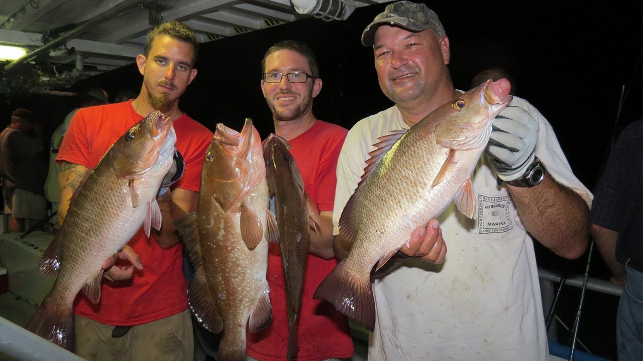 Mangrove Snapper — the most user-friendly saltwater sport fish - Bassmaster