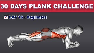 Day 16: 30 Days Plank Challenge Beginners