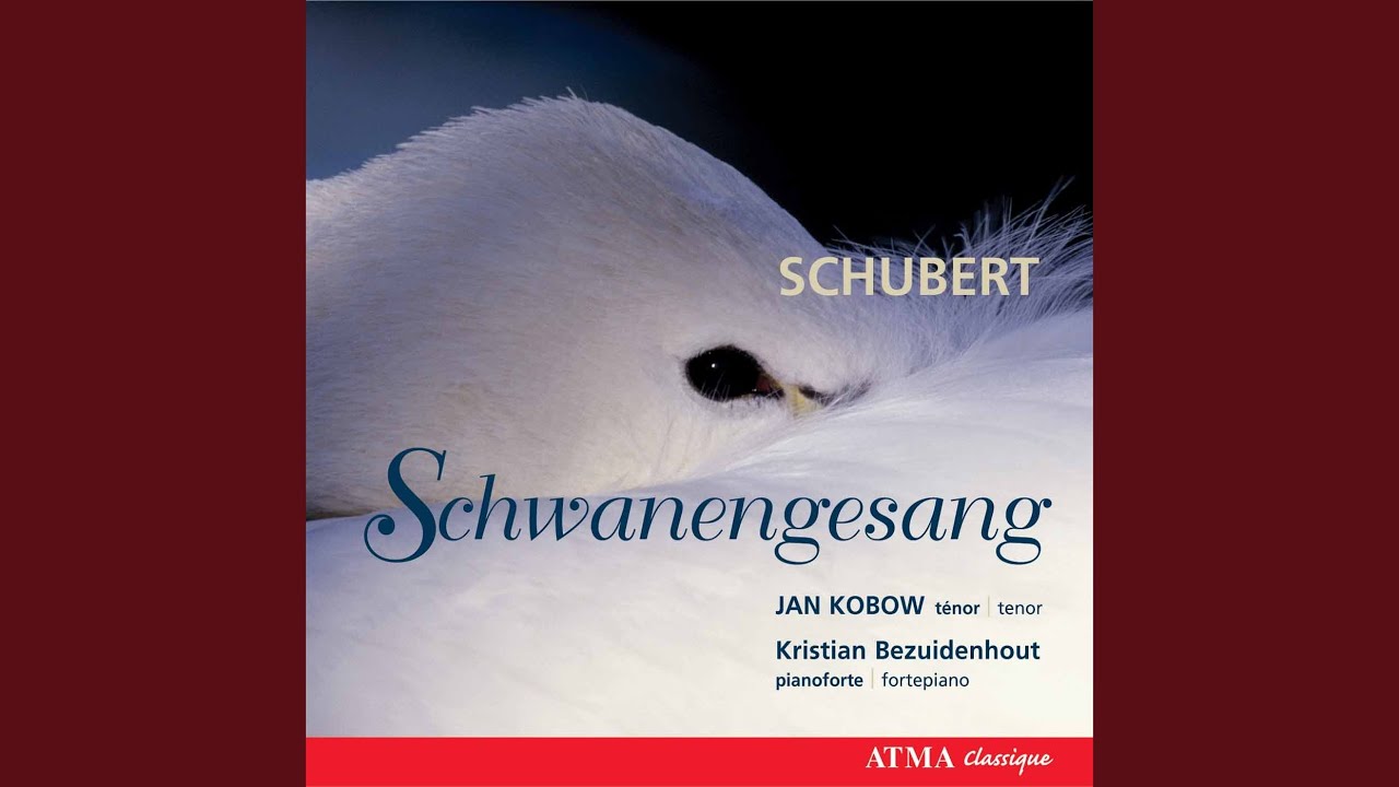 Schwanengesang, D. 957: No. 4, Ständchen