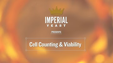 Cell Counting & Viability Testing