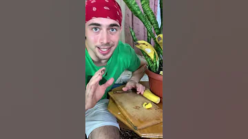 Как вырастить банановый вазон?!