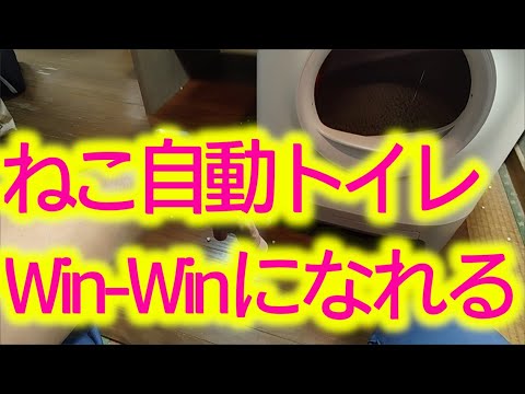 問わず語りでWi-Fiつき猫自動トイレPETKIT設置して入れてみた