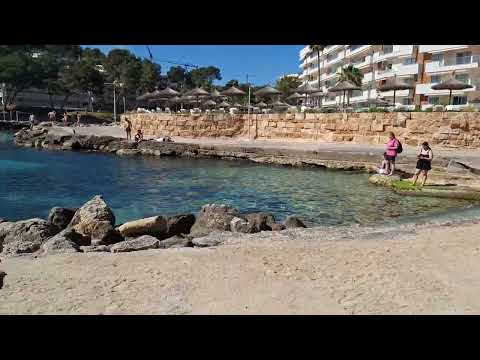 MALLORCA maj 2026 Piotr Napierała filmik 29