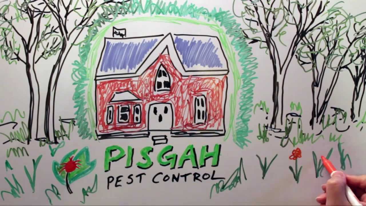 Highlands NC Pisgah Pest Control YouTube