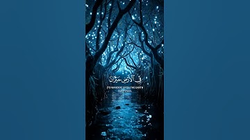 قل أندعو من دون الله ما لا ينفعنا ولا يضرنا | سورة الأنعام | ياسر الدوسري 👀