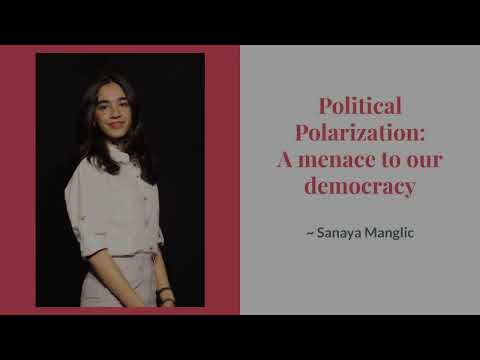 Political Polarization: A