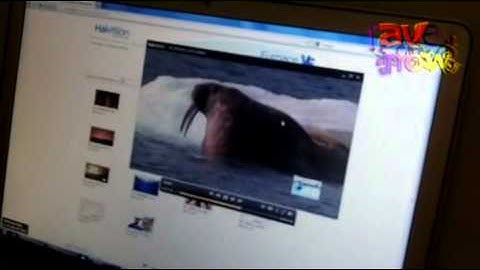 ISE 2012: HaiVision Intros Video Furnace System for Network Video