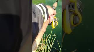 Клёвая рыбалка на речке