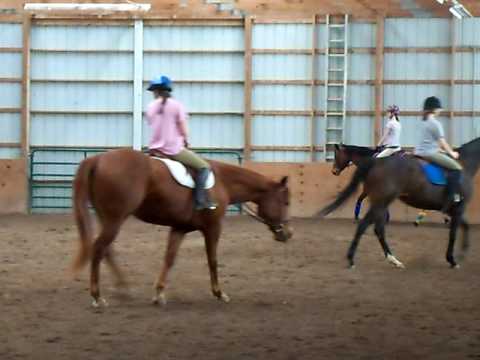 First Ride Of The Year With Crystal In PonyClub! Raw Clip#1