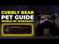 How to get the Cubbly pet in World of Warcraft