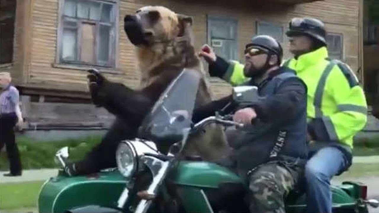 Cosas Que Solo Pasan En Rusia