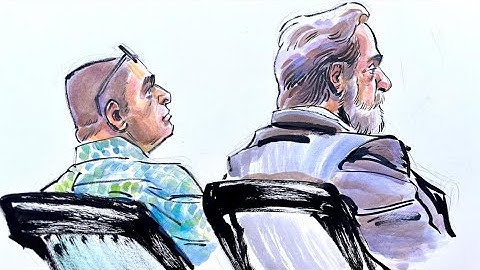 DNA analyst confirms Richard Allen