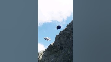 RR Beast x4 12s v3 BNF - Speedrun Performance pack ( @andre_larsen)