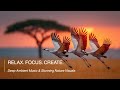 AuraBeat | Discover the SECRET to Deep Focus with 2 Hours of Ambient Music &amp; Nature Visuals