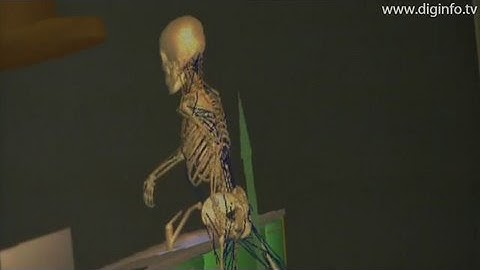 Real-time musculoskeletal simulation : DigInfo [HD]