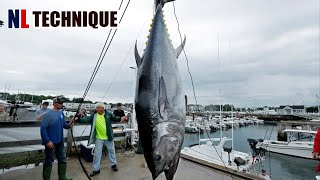 Catching Huge Tuna and Processing Tuna In The Factory - Modern Food Technology