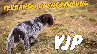 Alles, Was Du Über Die Verbandsjugendprüfung Wissen Musst