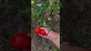 Sizce Köyde Yaşamak Nasıl Bir Duygu? Öy Öydehayat Şfet