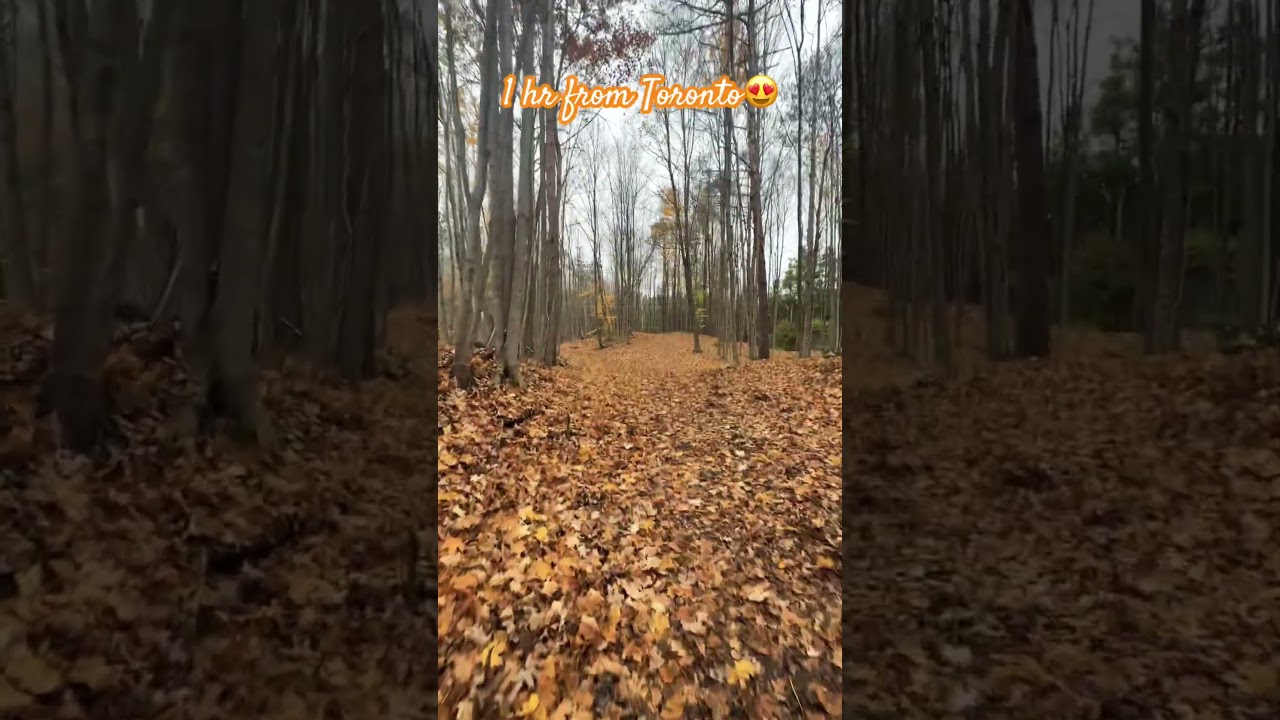 🍁 Stunning Fall Hike Just 1 Hour from Toronto! | Hidden Nature Escape 🇨🇦 