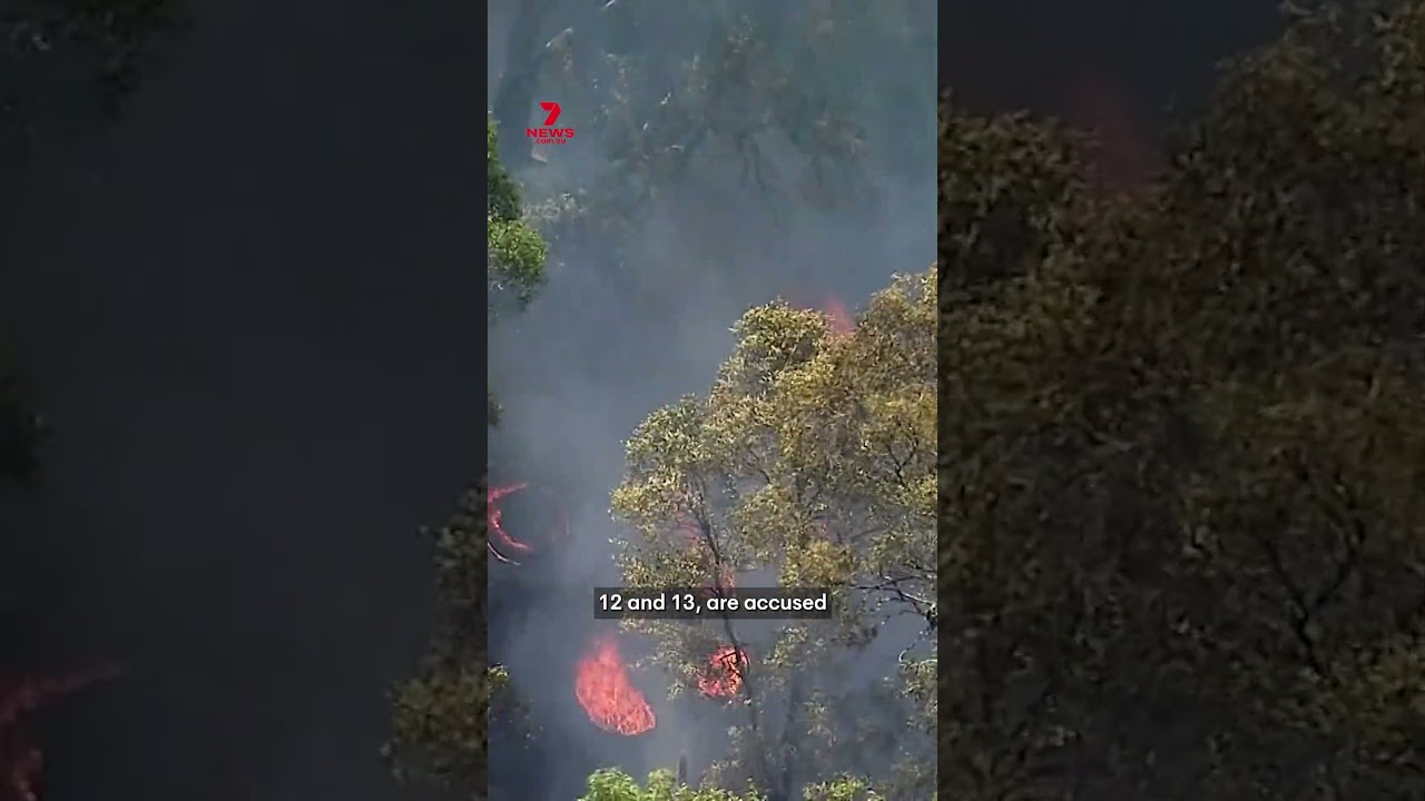 Teenagers arrested over grass fire in Sydney's northwest | 7NEWS