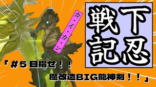 【オーバーウォッチ２】 目指せ！！魔改造BIG龍神剣！！【下忍戦記】