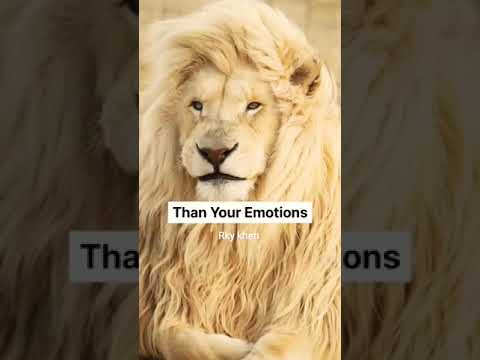 sigma rule ??~ attitude status ? | whatsapp status | attitude quotes #shorts #quotes #attitude #lion