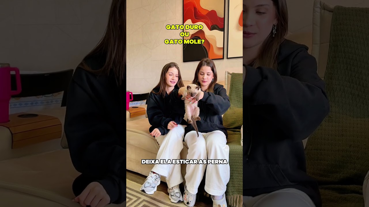 NOSSA GATINHA É MOLE OU É DURA?😂