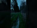 #aestheic  #naturelandscape #short