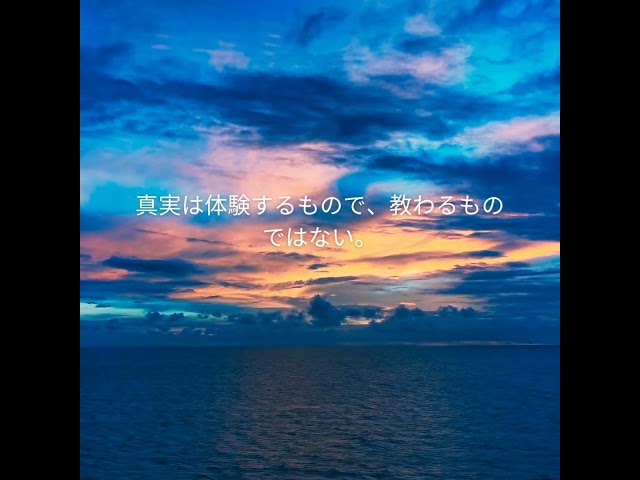 The truth is lived, not taught.NEW!ヘルマンヘッセ