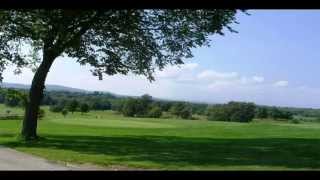 Dinsmore golf course