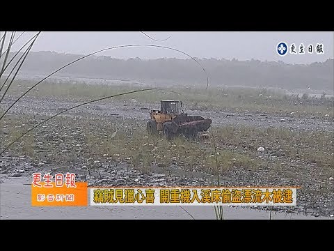 颱風後偷漂流木 二案市價破百萬