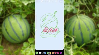 Instagram Story Drawing Challenge Watermelon