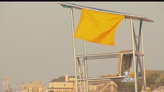Beaches Closed After Shark Sightings