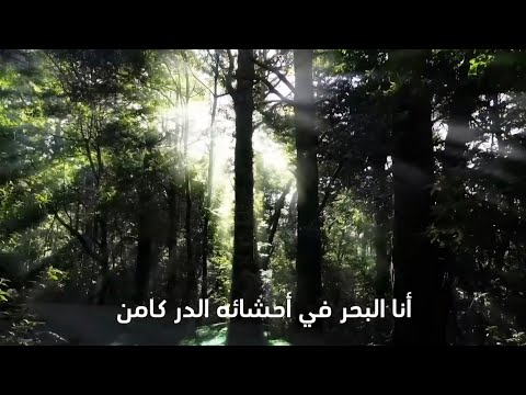 أنا البحر في أحشائه الدر كامن اللغة العربية الحضارة الإسلامية لغة عربية شعر شعراء  اشتراك