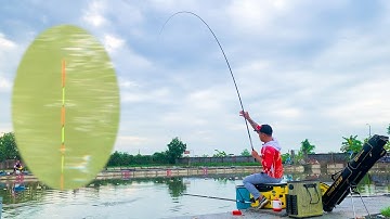 Chia Sẻ Kinh Nghiệm Câu Cá Chép Cũ Hồ Dịch Vụ. Cách Phồi Mồi Và Sét Trục Thẻo Cho Hiệu Quả.