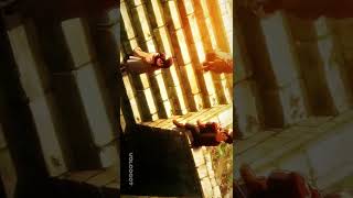 This Trio Has Changed