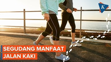 Manfaat Jalan Kaki 30 Menit Per Hari, Bisa Bikin Panjang Umur