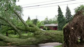Fast-moving storm leaves trail of damage in Dearborn Heights